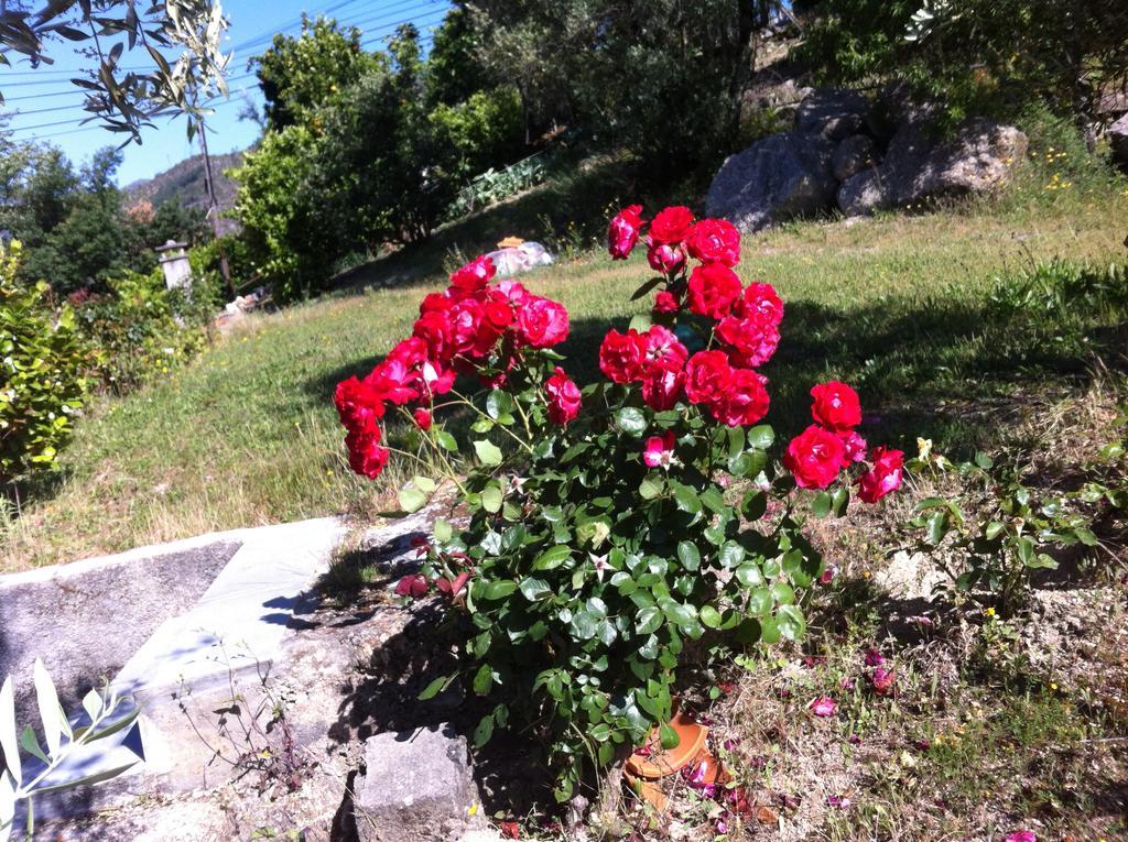 Al Vivenda Romantica Жереш Екстер'єр фото
